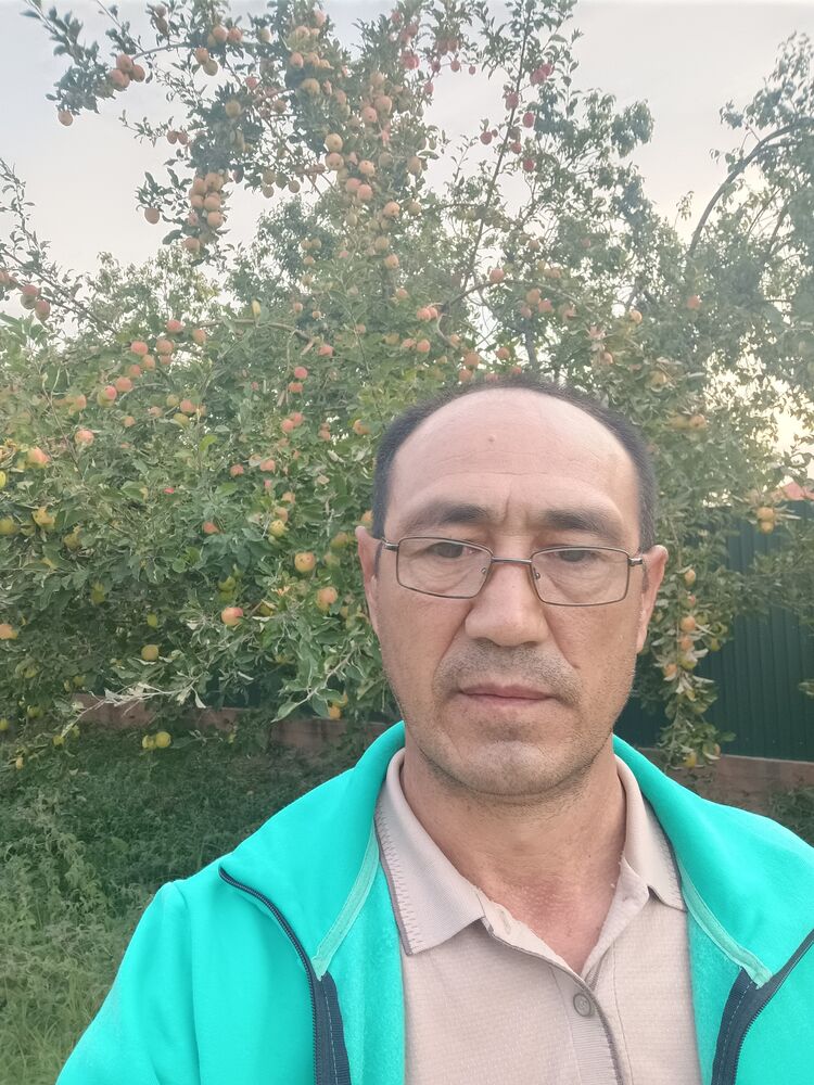  46849267  , 49 ,    