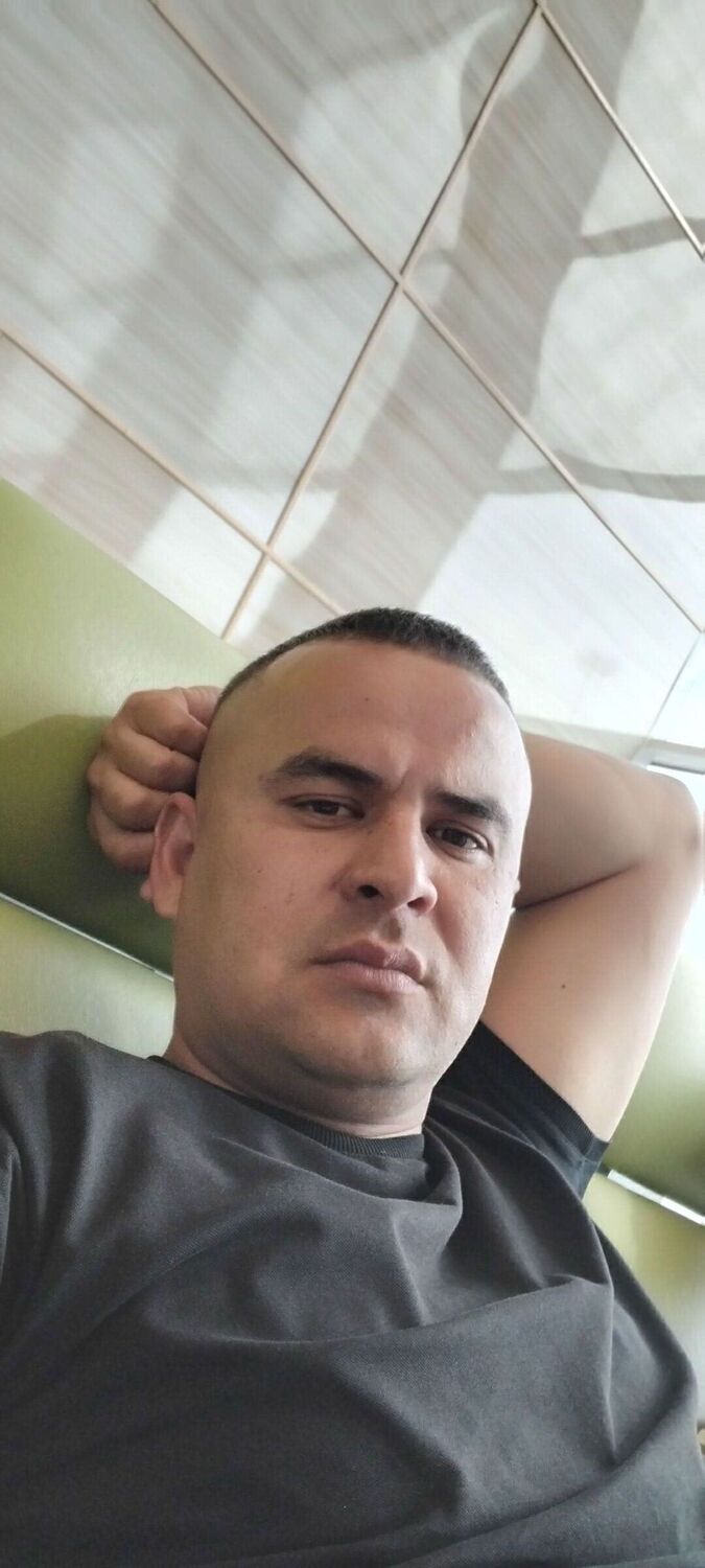  53042177   , 34 ,    