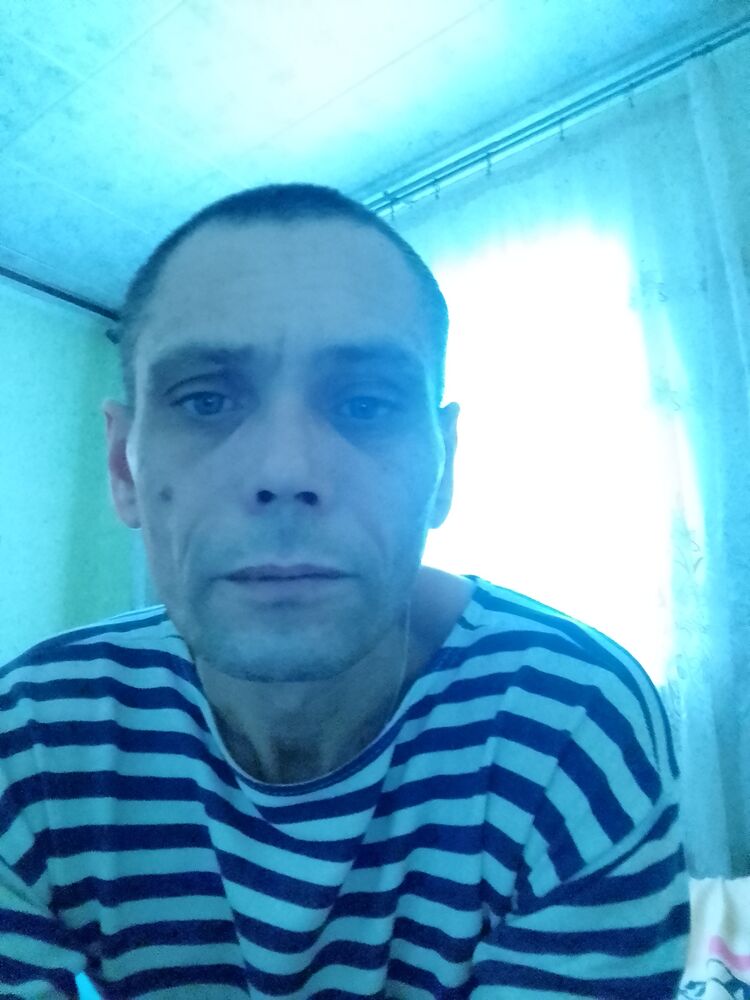  24660527  , 47 ,    