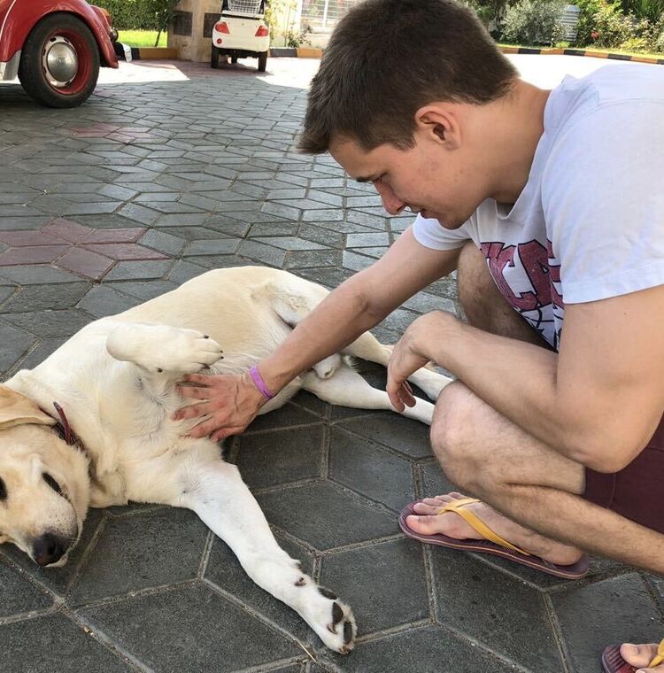 ���������� ������, ���� ������� ����, 29 ���, ������������ ��� c�������� ���������