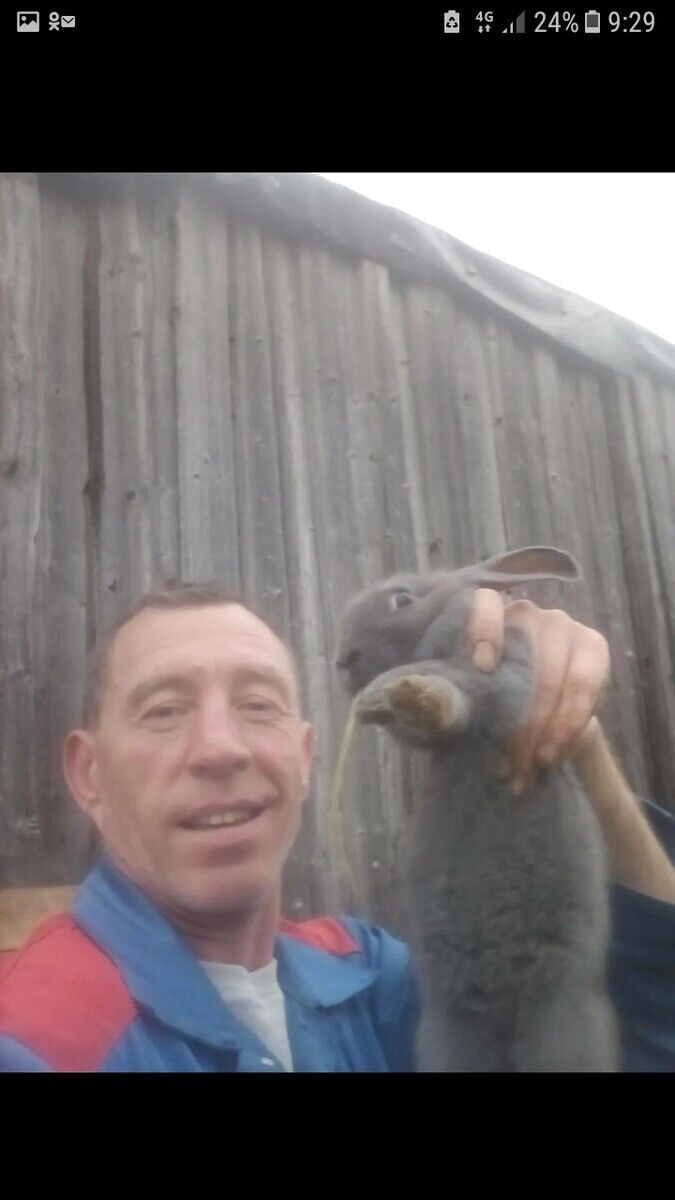 ���������� �����, ���� ������� ��������, 51 ���, ������������ ��� ������, ����� � ���������