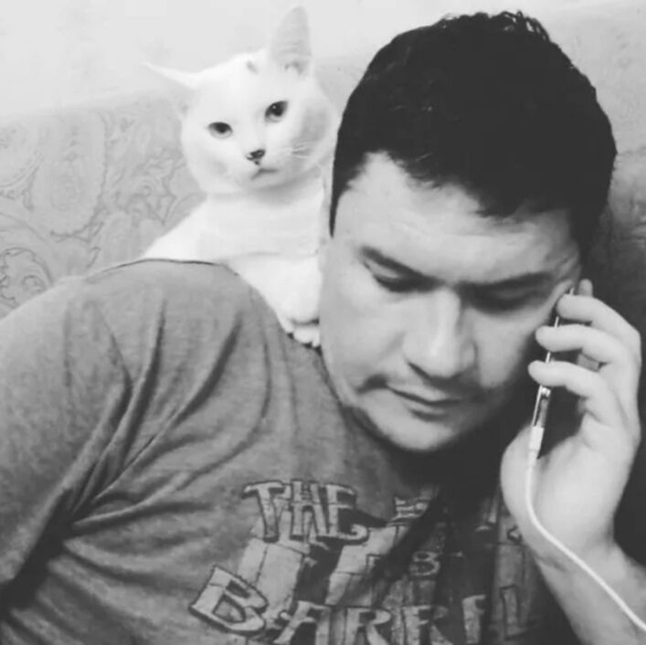 ���������� ����, ���� ������� ������, 40 ���, ������������ ��� ������, ����� � ���������, c�������� ���������