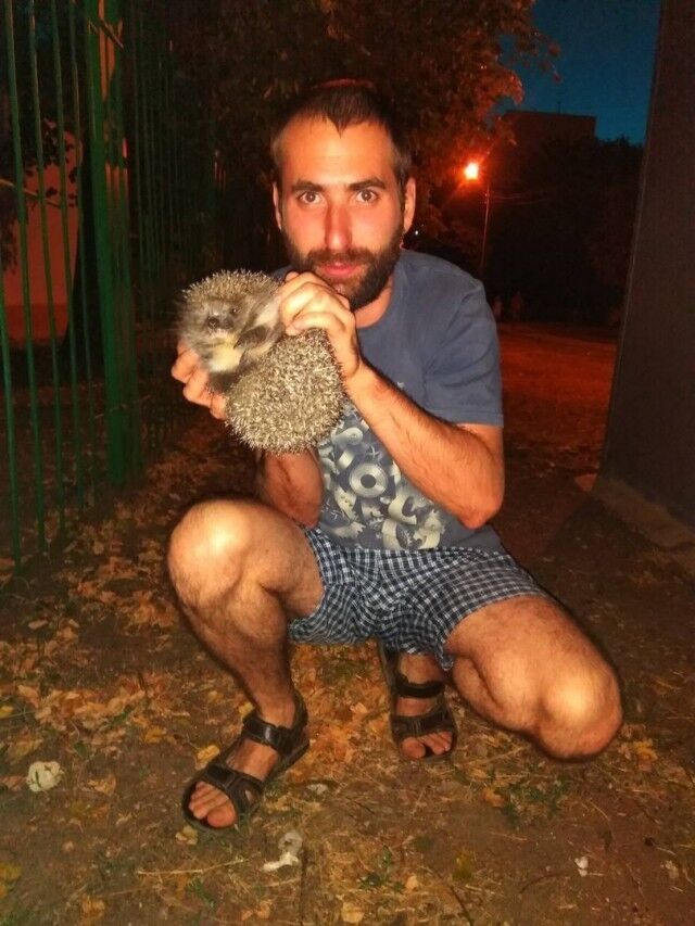 ���������� �������, ���� ������� ���������, 37 ���, ������������ ��� ����� � ���������, c�������� ���������