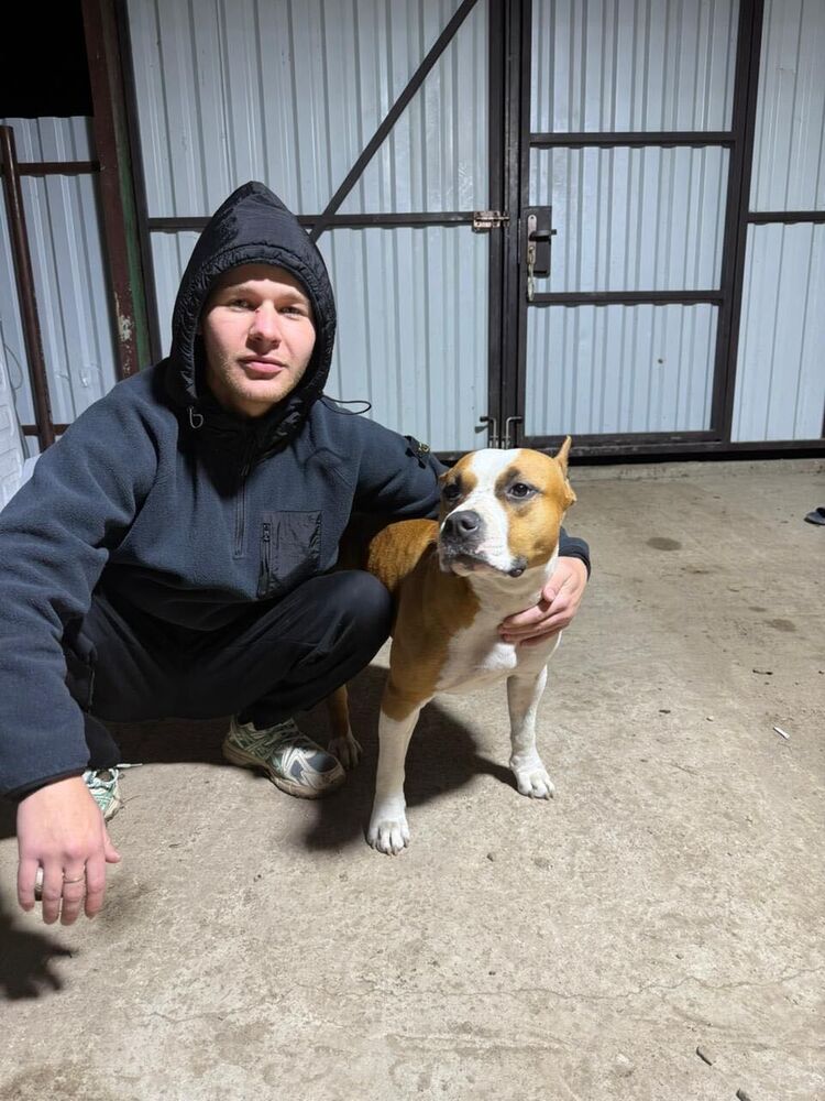 ���� 55275277 ����� �����, 25 ���, ���� ���������� � ��������