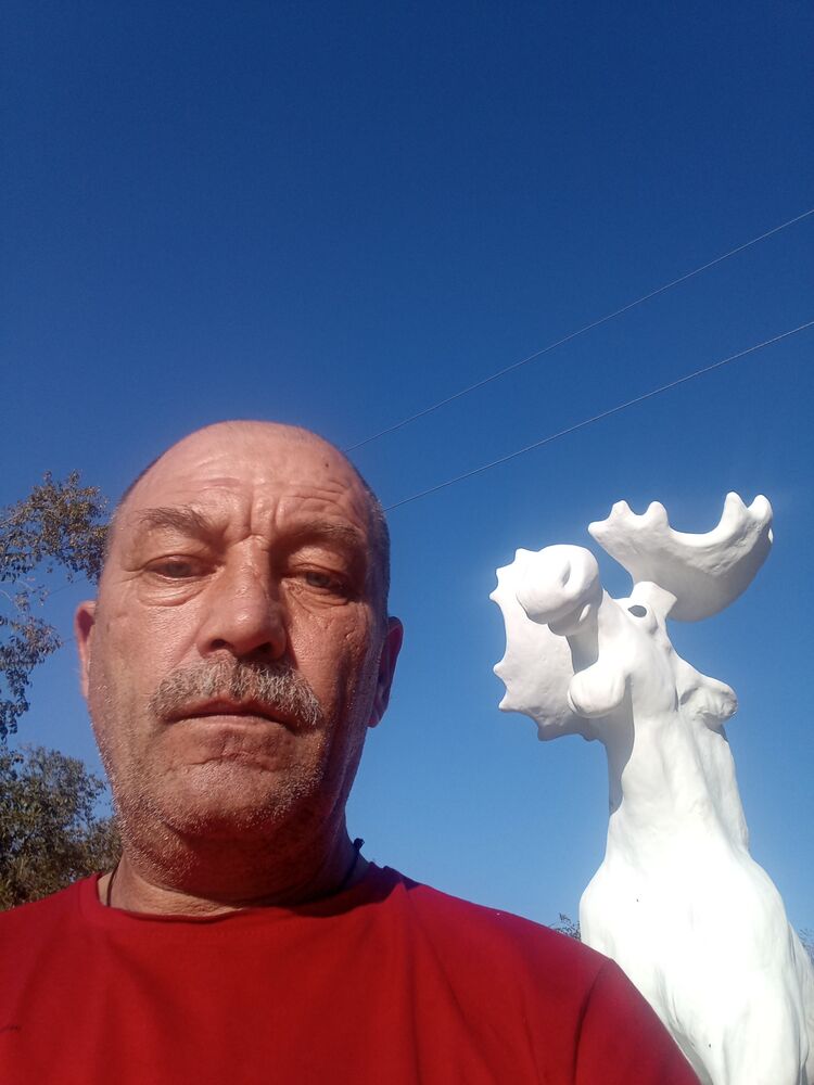  38717847  , 56 ,    