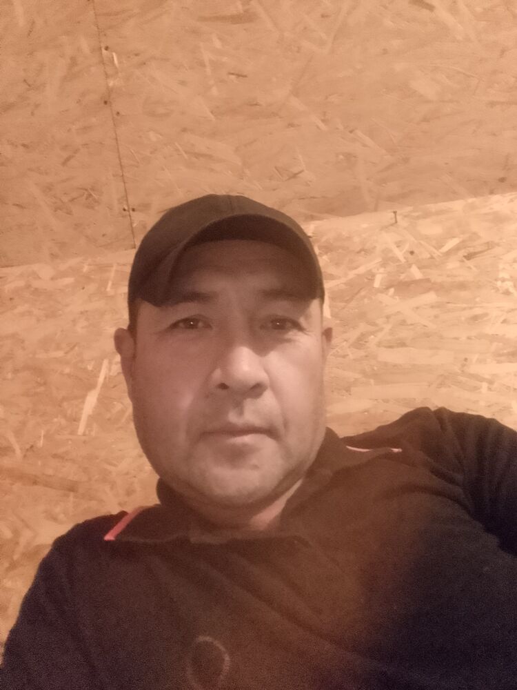  31988397  , 47 ,    