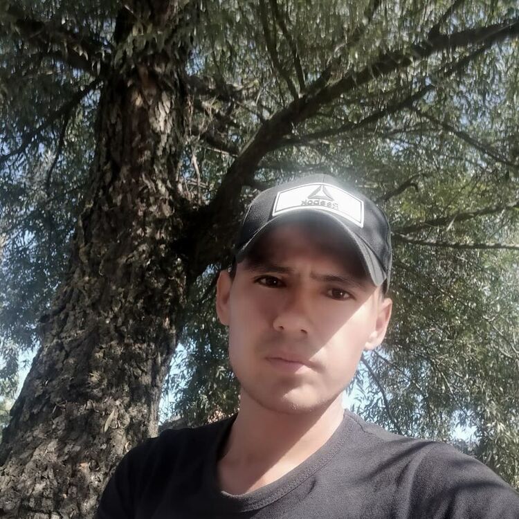  18085037  , 34 ,    