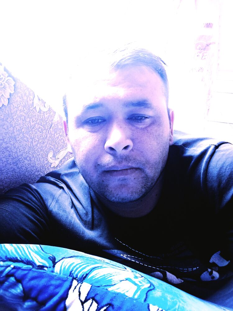  50040617  , 31 ,    