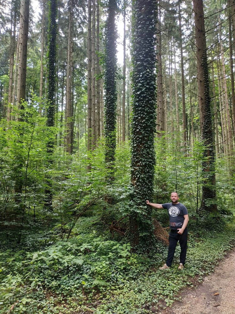 ���� 24710967 ������� �������, 43 ����, ���� ���������� � �������