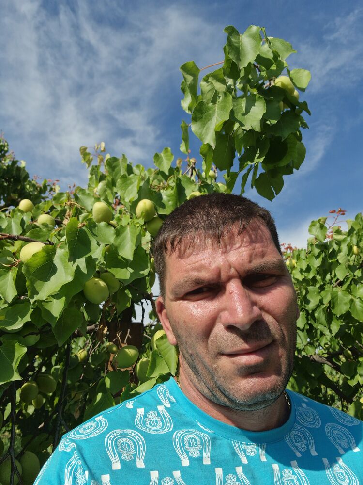 ���������� ������, ���� ������� Lernik, 47 ���, ������������ ��� ������, ����� � ���������, c�������� ���������, ���������