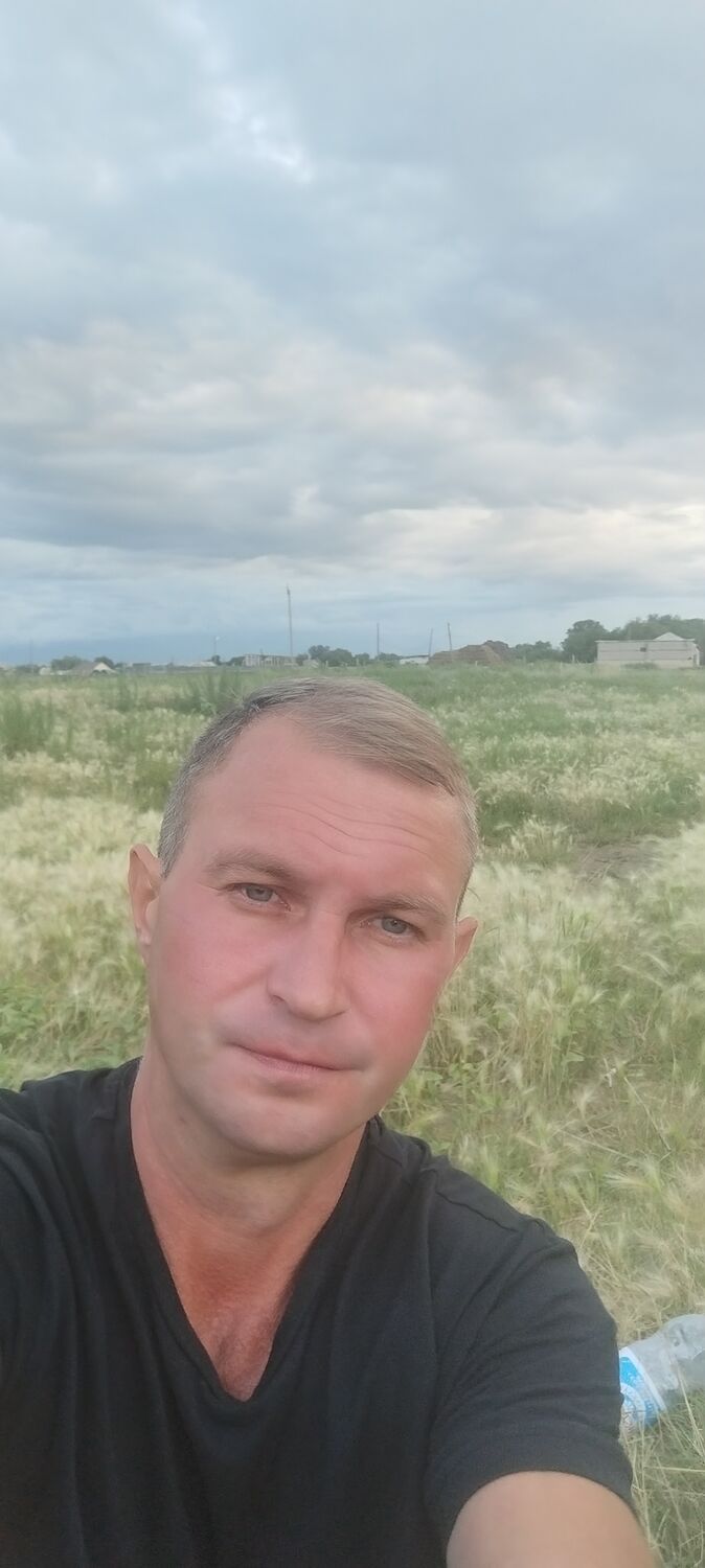  49869037  , 39 ,    