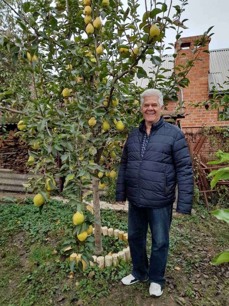 ���������� ���������, ���� ������� ������, 67 ���, ������������ ��� c�������� ���������