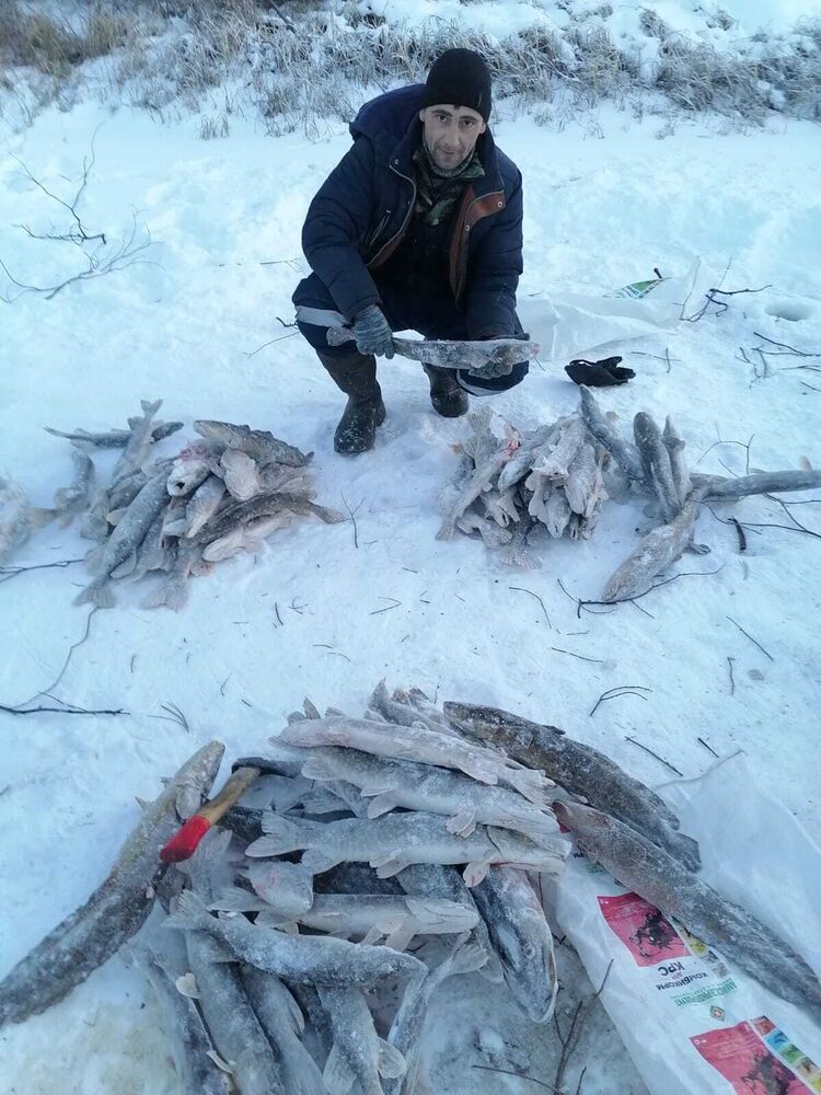 ���� 43012197 ������� ���������, 42 ����, ���� ���������� � ��������