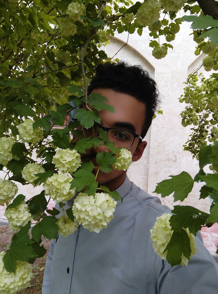  26710767  , 21 ,    
