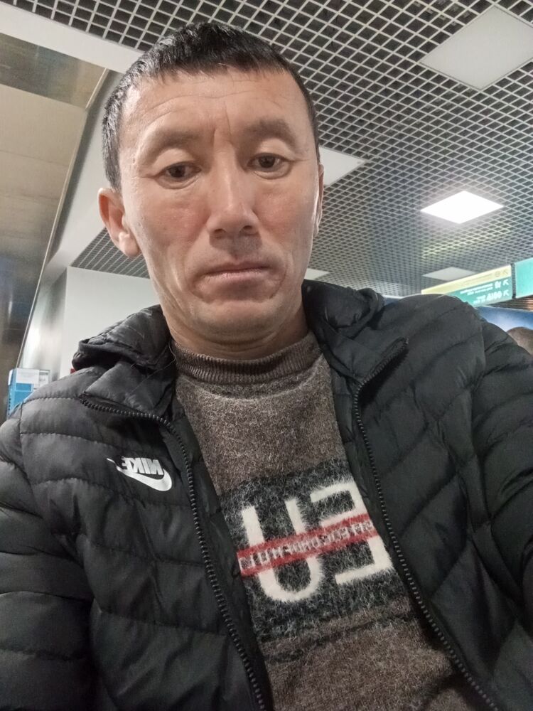  43463557  , 38 ,    