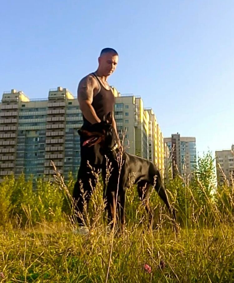 ���������� �����-���������, ���� ������� �����, 40 ���, ������������ ��� ������, ����� � ���������, c�������� ���������, ���������