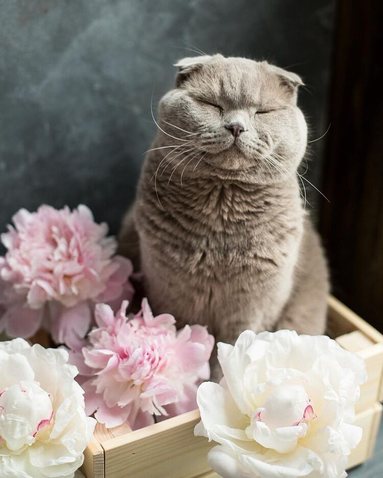 ���� 12092867 ������� Maks, 35 ���, ���� ���������� � ������������