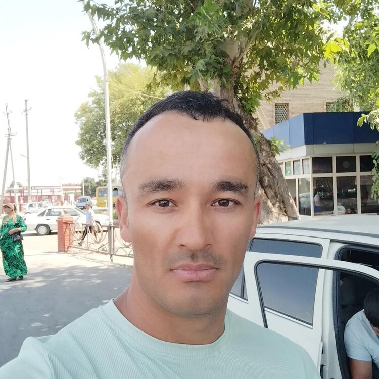  40276287  , 34 ,    