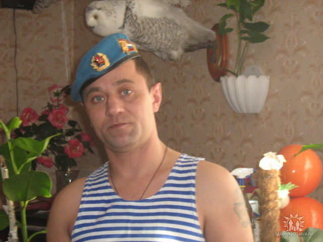  -,   , 49 ,   ,   , c 