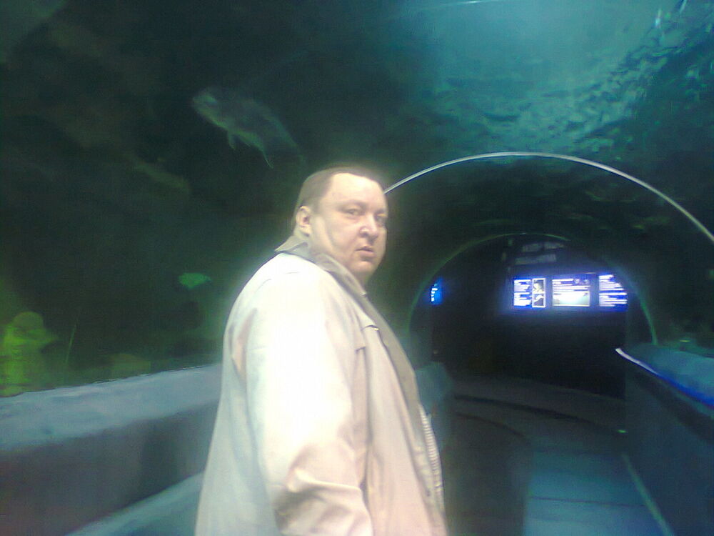 ���� 3992827 ������� �����, 52 ����, ���� ���������� � ���������