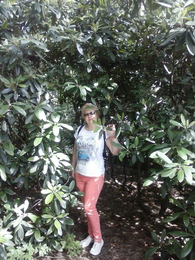 ���������� �����, ���� ������� ����, 50 ���, ������������ ��� ������, ����� � ���������, c�������� ���������