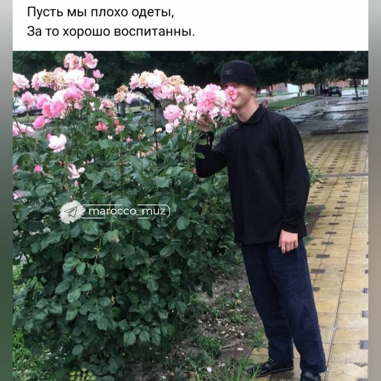 ���� 25243157 ����� ������, 24 ����, ���� ���������� � ������