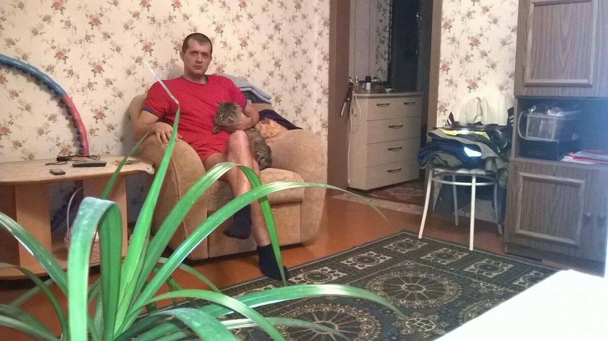 ���������� ����������, ���� ������� ����, 38 ���, ������������ 