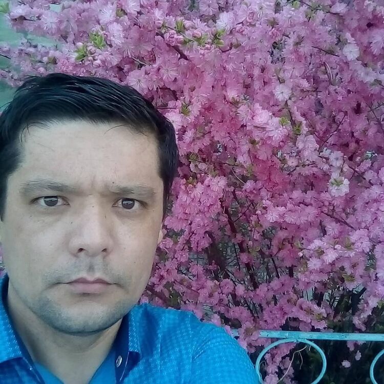 ���� 24405847 ������� ���������, 42 ����, ���� ���������� � ����������