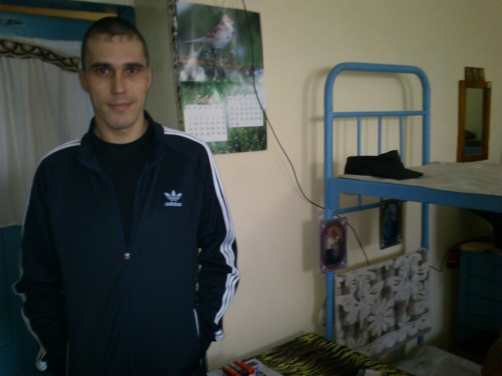  9035567  , 40 ,    -