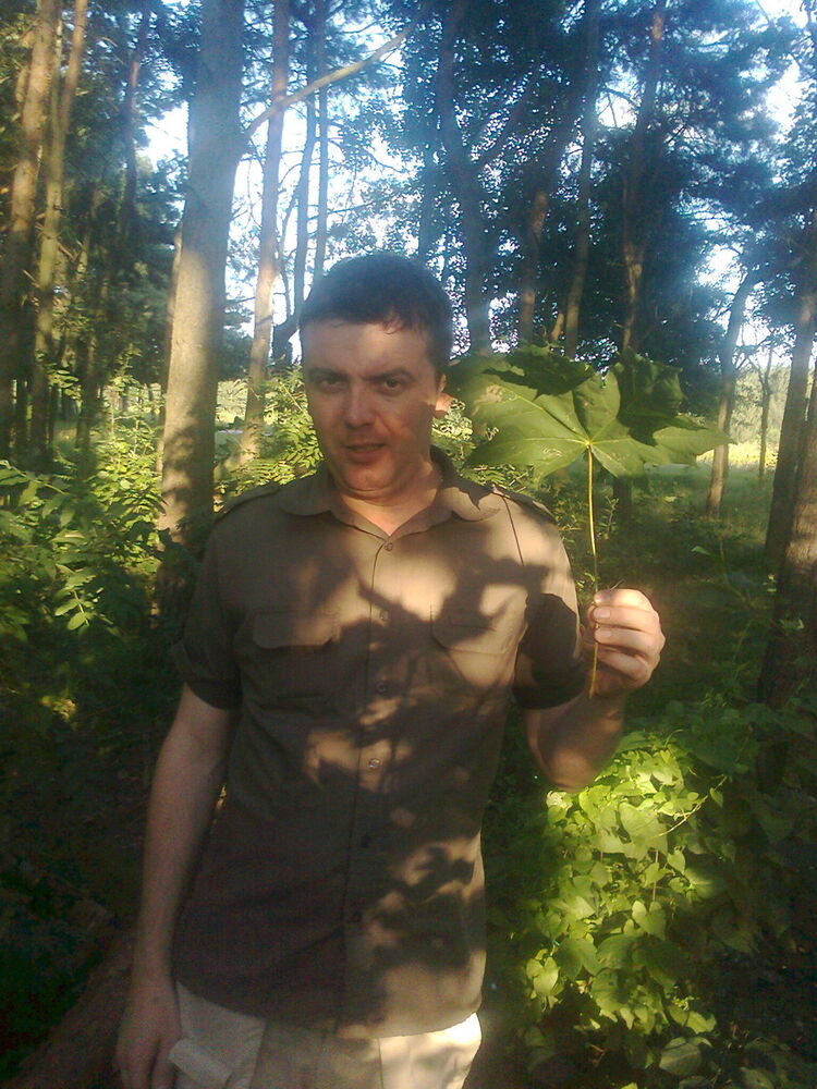 ���������� �����, ���� ������� ������, 39 ���, ������������ ��� ������, ����� � ���������, c�������� ���������