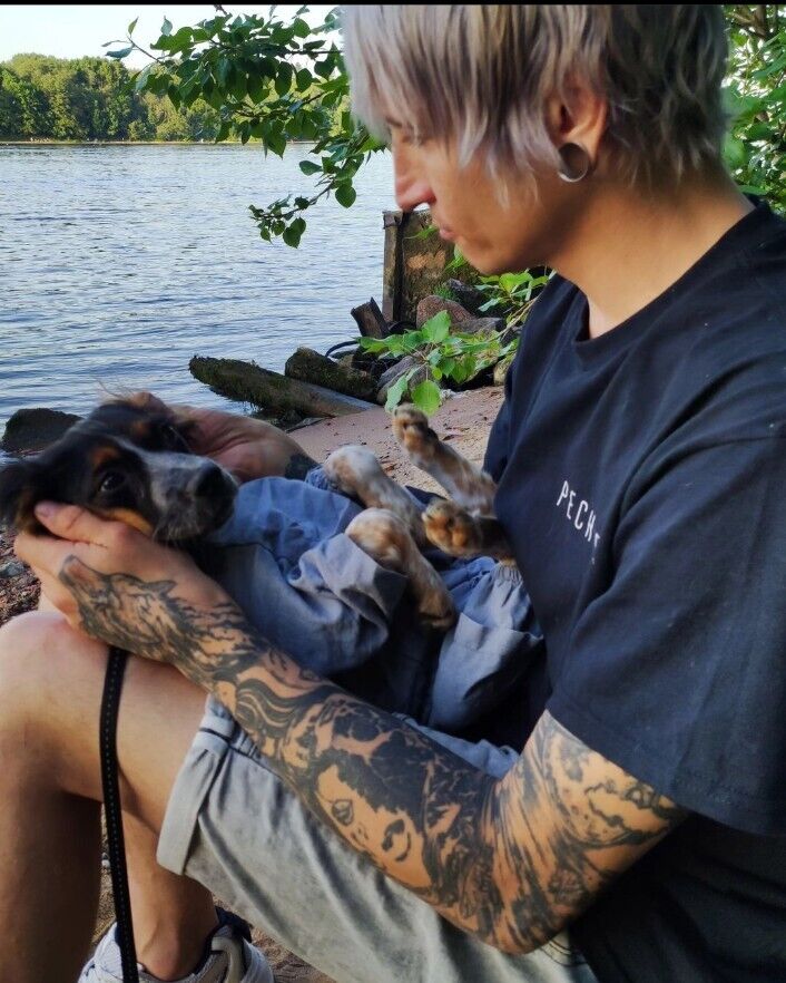 ���������� �����������, ���� ������� Roman, 36 ���, ������������ ��� ������, ����� � ���������, c�������� ���������, ���������