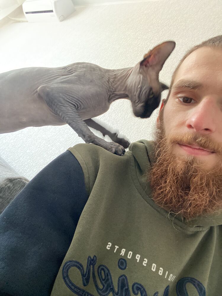  --,   , 28 ,   ,   , 