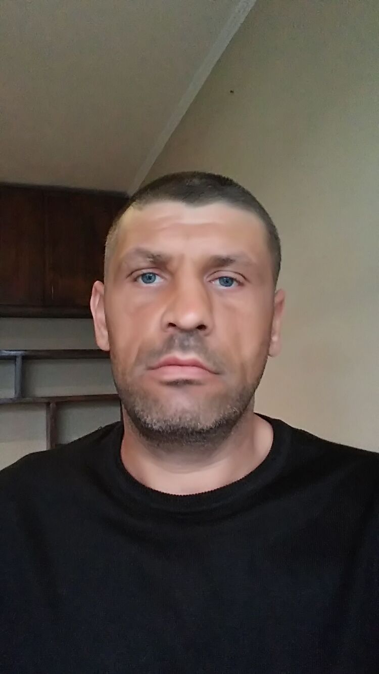  28449057  , 43 ,    
