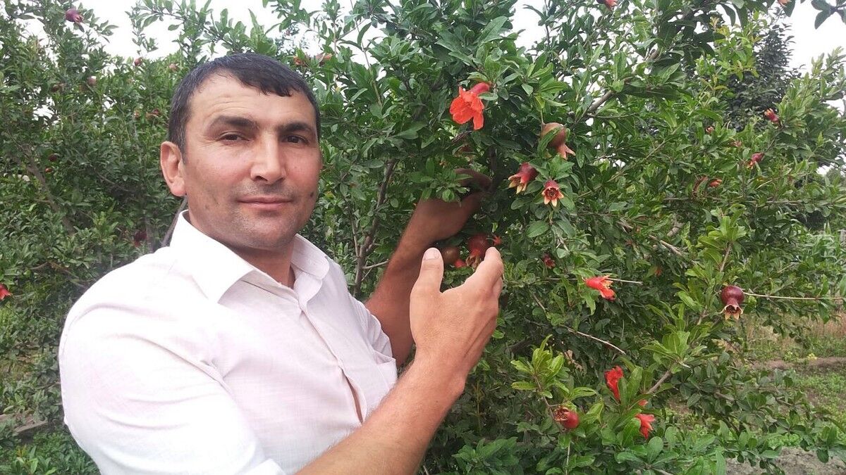 ���� 6298997 ������� �����, 47 ���, ���� ���������� � ������