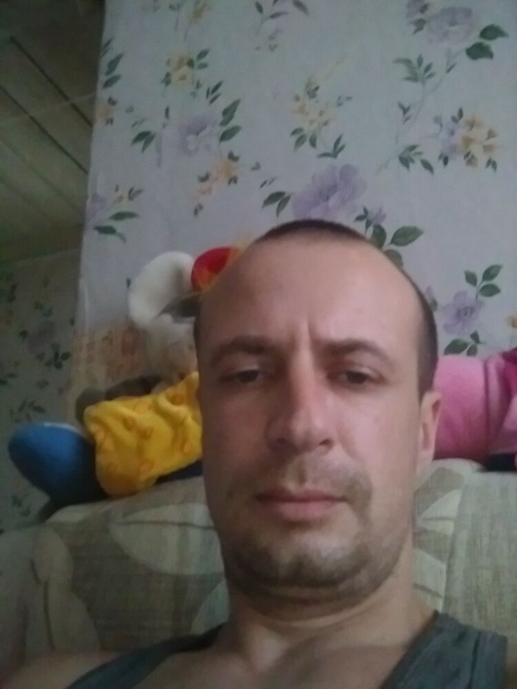  23446257  , 41 ,    