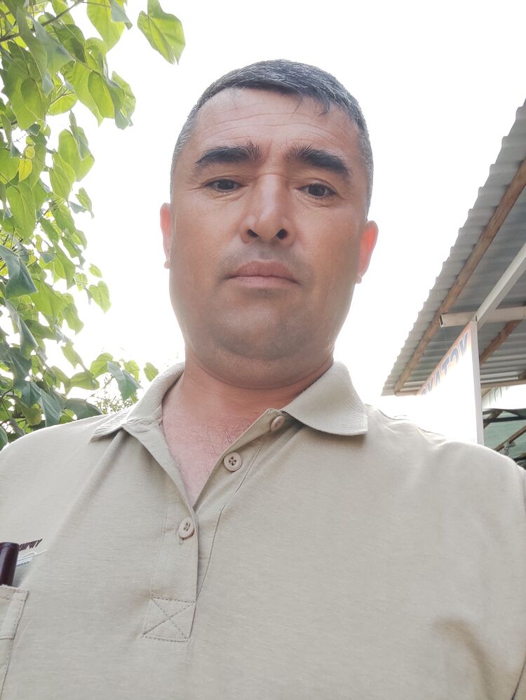  34556527  , 38 ,    