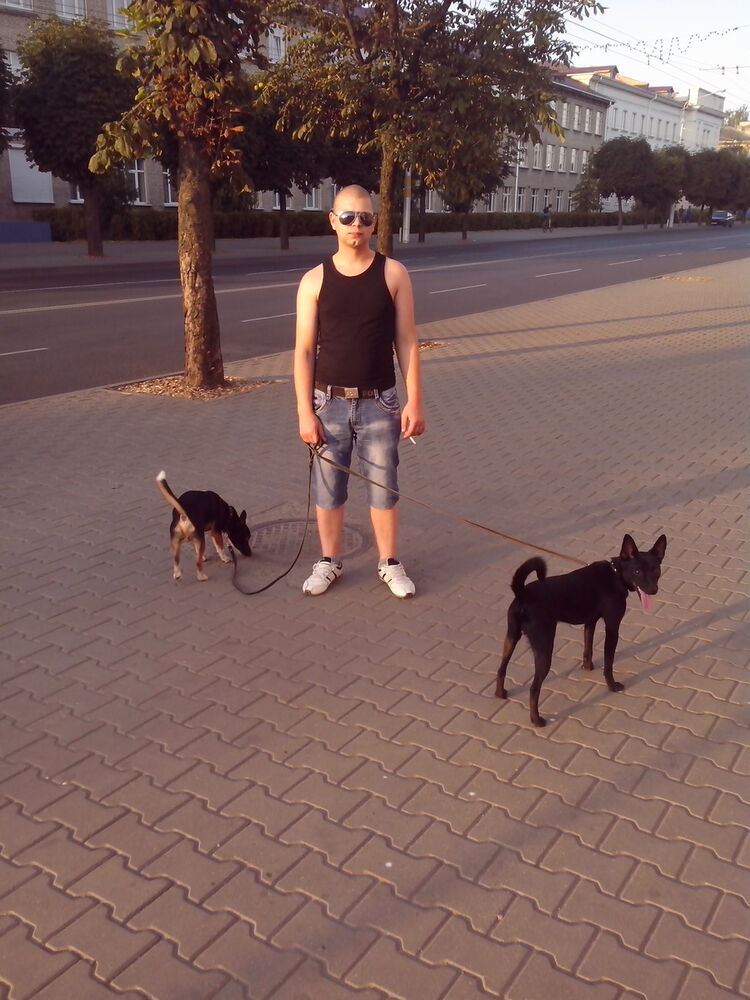 ���������� ��������, ���� ������� ������, 33 ����, ������������ ��� ����� � ���������, c�������� ���������