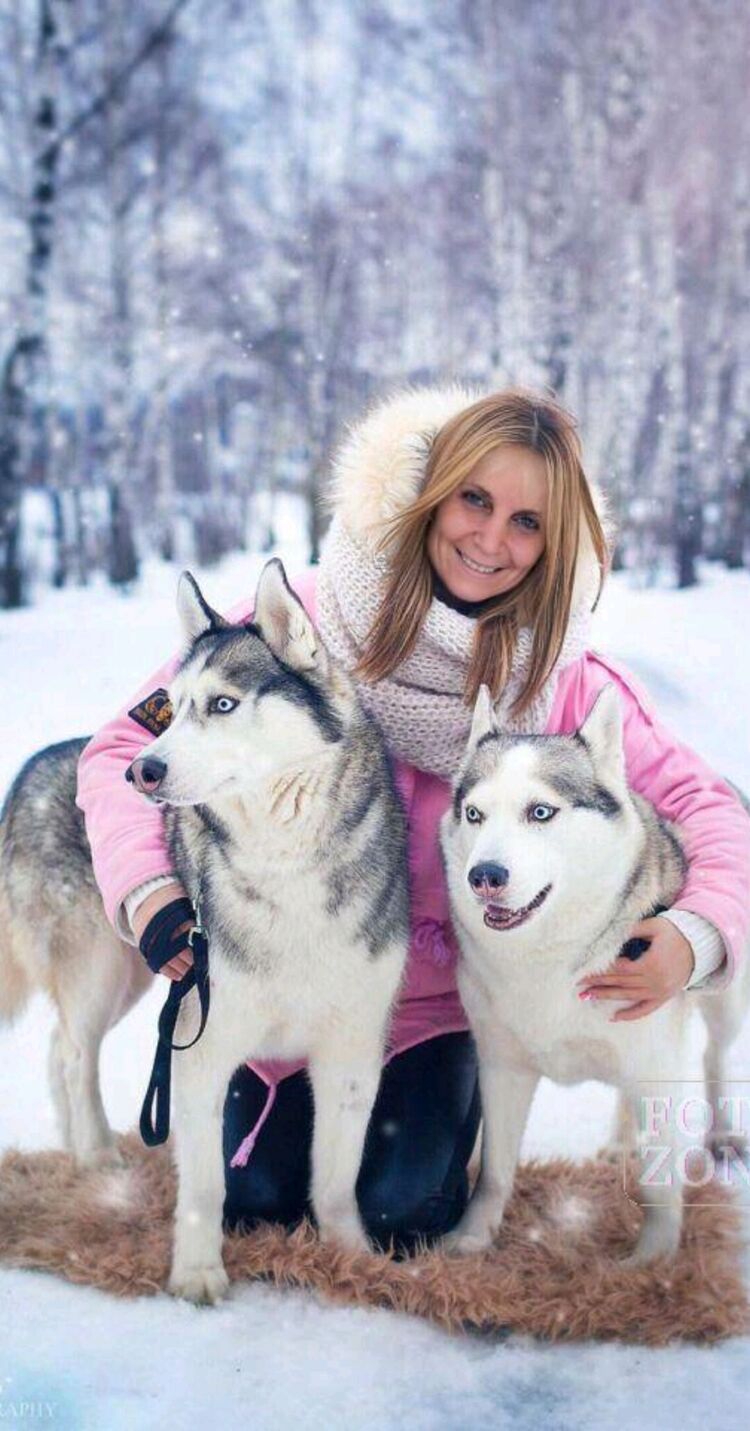 ���� 42708877 ������� Ell, 52 ����, ���� ���������� � �����-����������