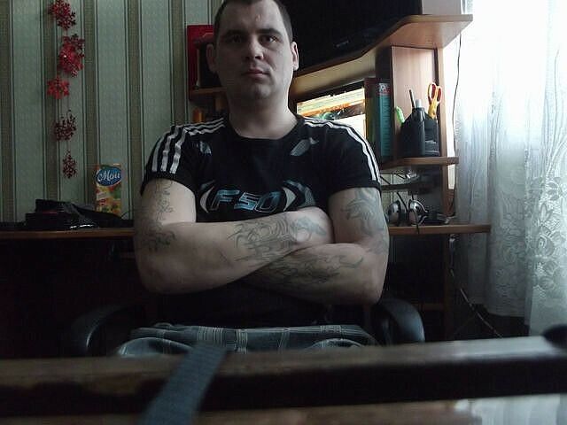  29348497  , 40 ,    