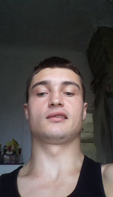  6679217  , 31 ,    