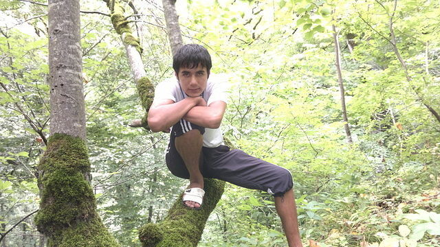 ���� 7339047 ������� �����, 33 ����, ���� ���������� � �������