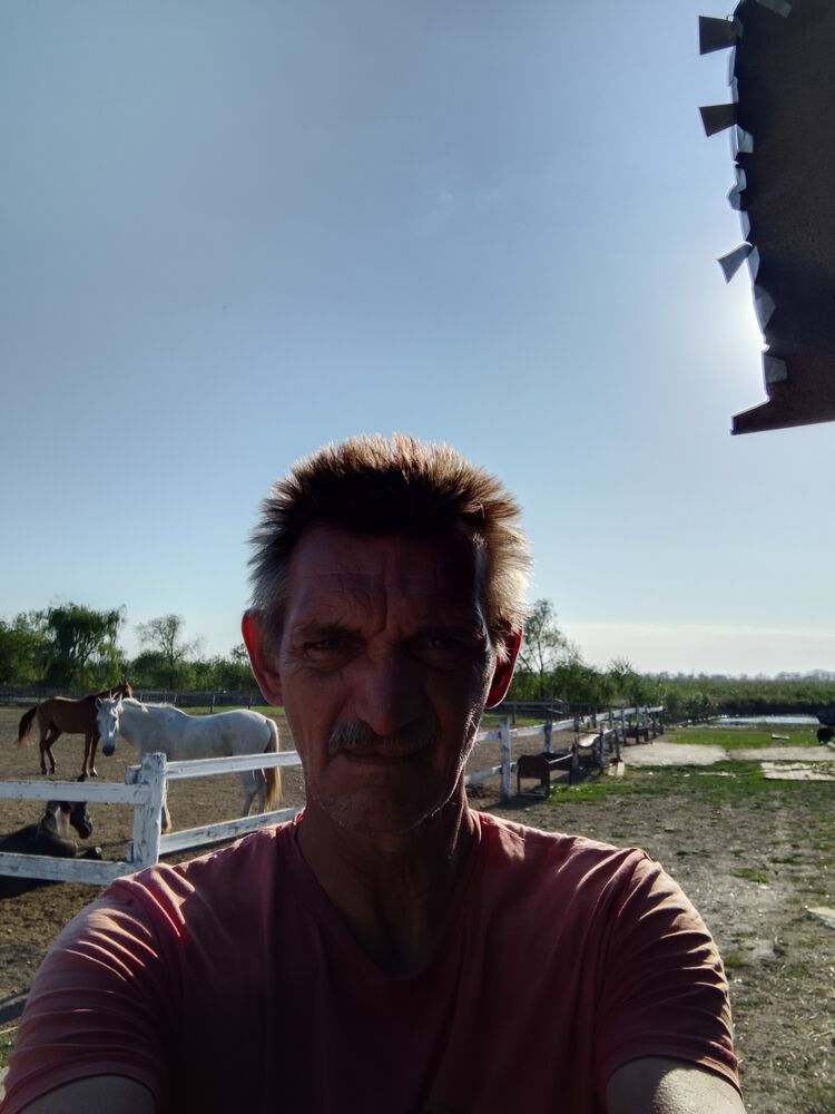  46058857  , 56 ,    