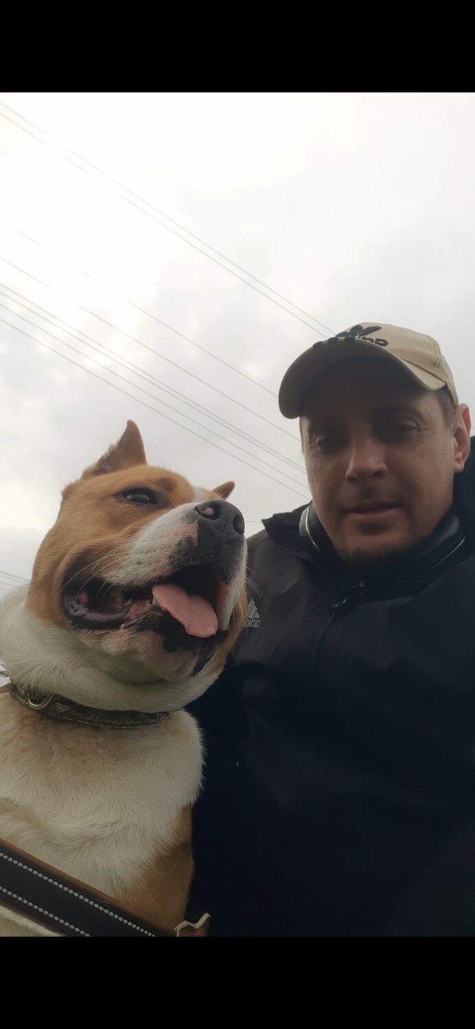 ���� 55660017 ������� ������, 41 ���, ���� ���������� � �������