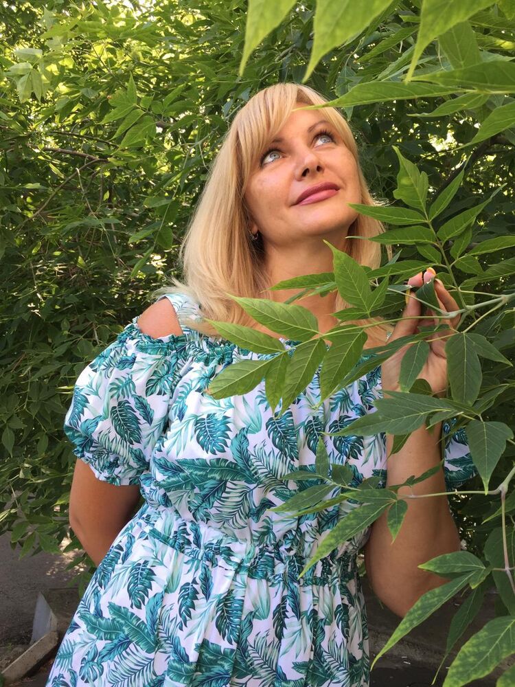 ���� 40533357 ������� ����, 48 ���, ���� ���������� � �����������