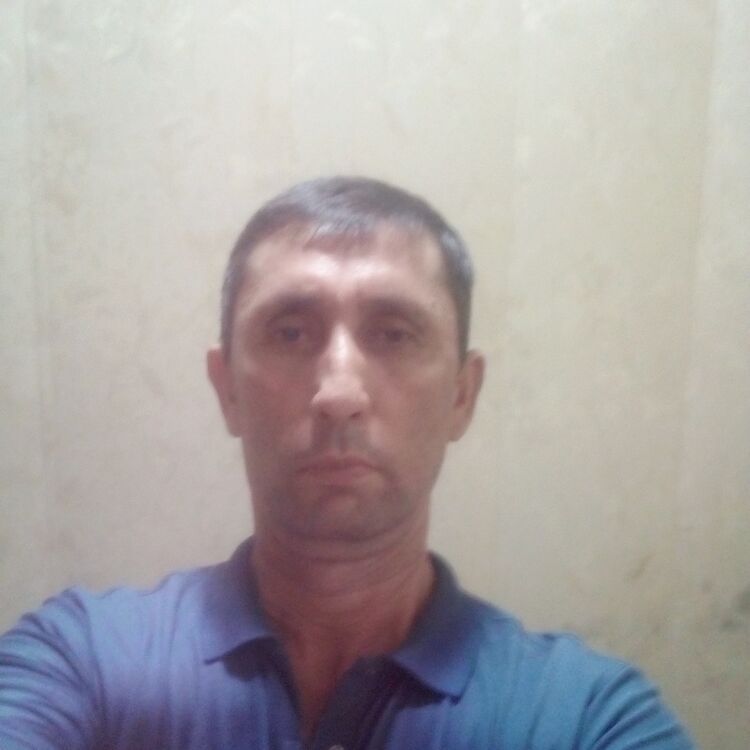  28350337   , 51 ,    