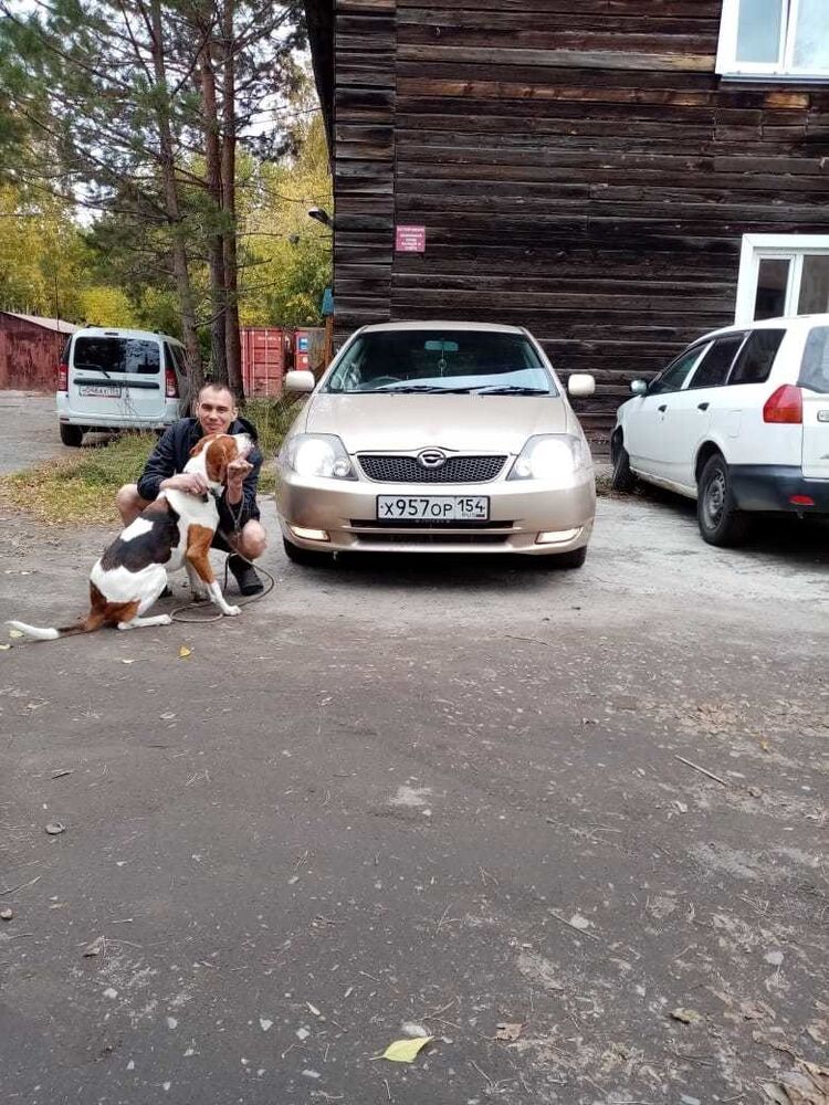 ���� 19063077 ������� �������, 35 ���, ���� ���������� � ������������