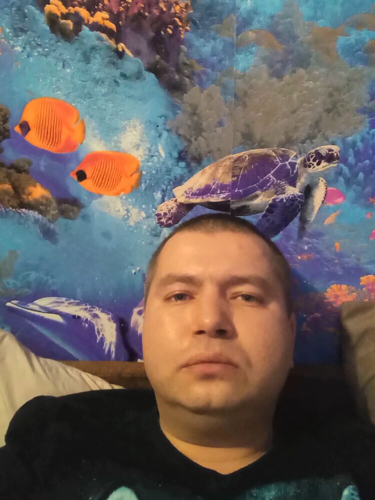  33215557  , 39 ,    