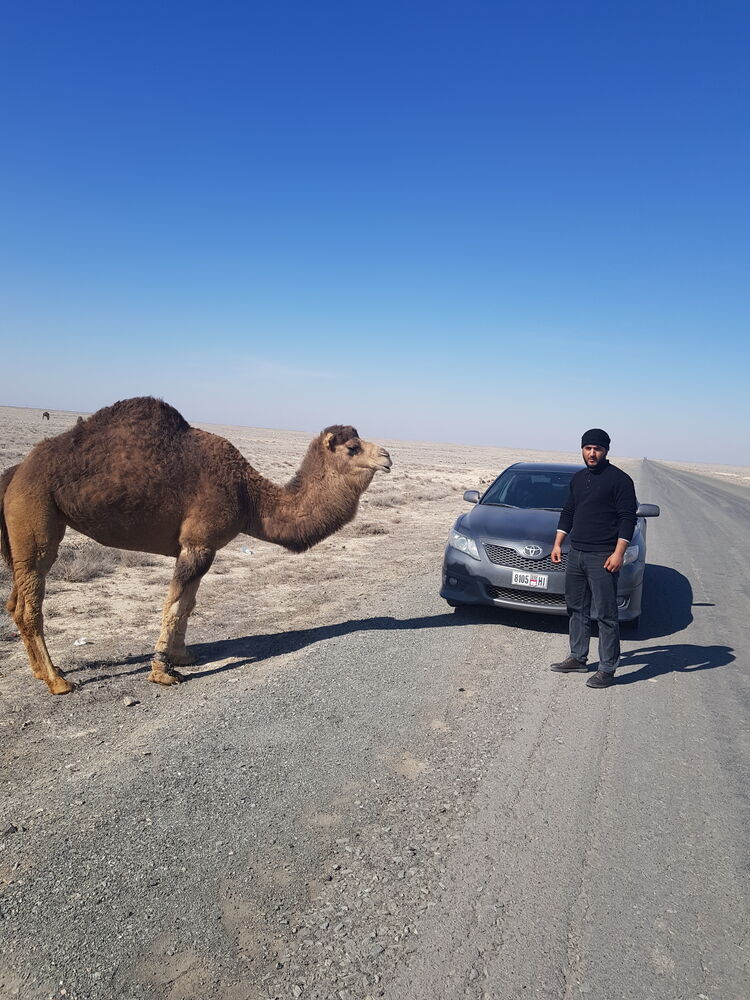 ���������� �����-���������, ���� ������� ����, 35 ���, ������������ ��� ������, ����� � ���������