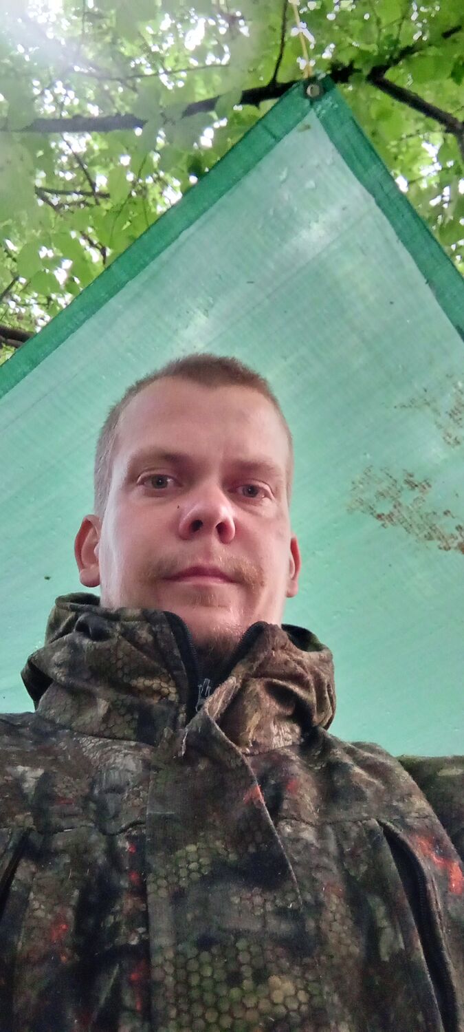  53039257  , 31 ,    