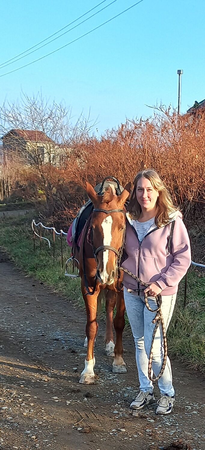 ���������� �����������, ���� ������� ������, 33 ����, ������������ ��� c�������� ���������, ���������